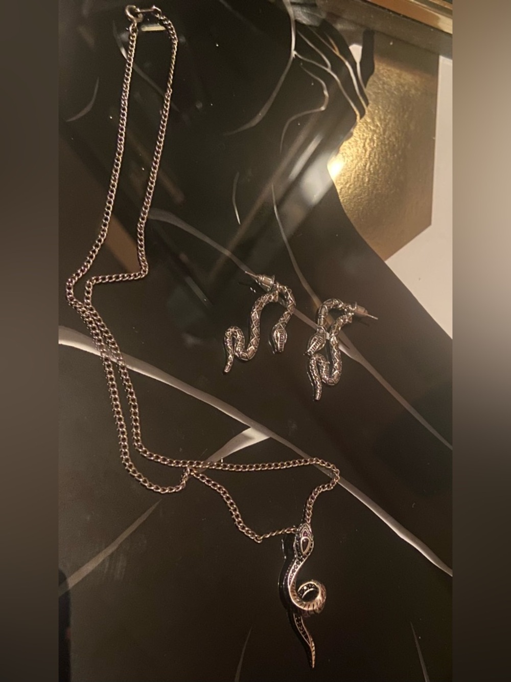 Sterling Silver Snake Pendant Necklace and Earrings Set - Silver